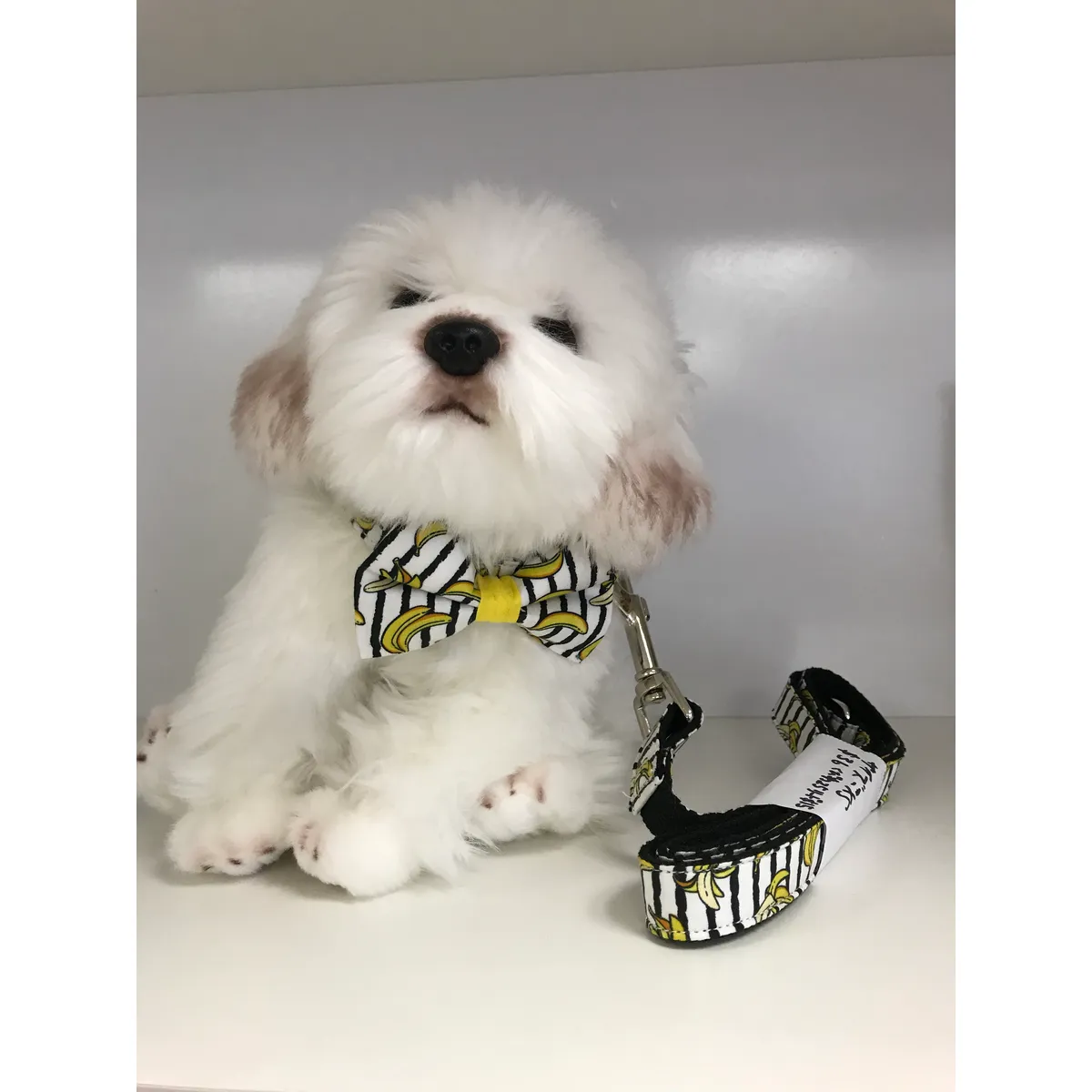 Dog Collar Banana Prints Set | Bow Tie, Collar, Leash