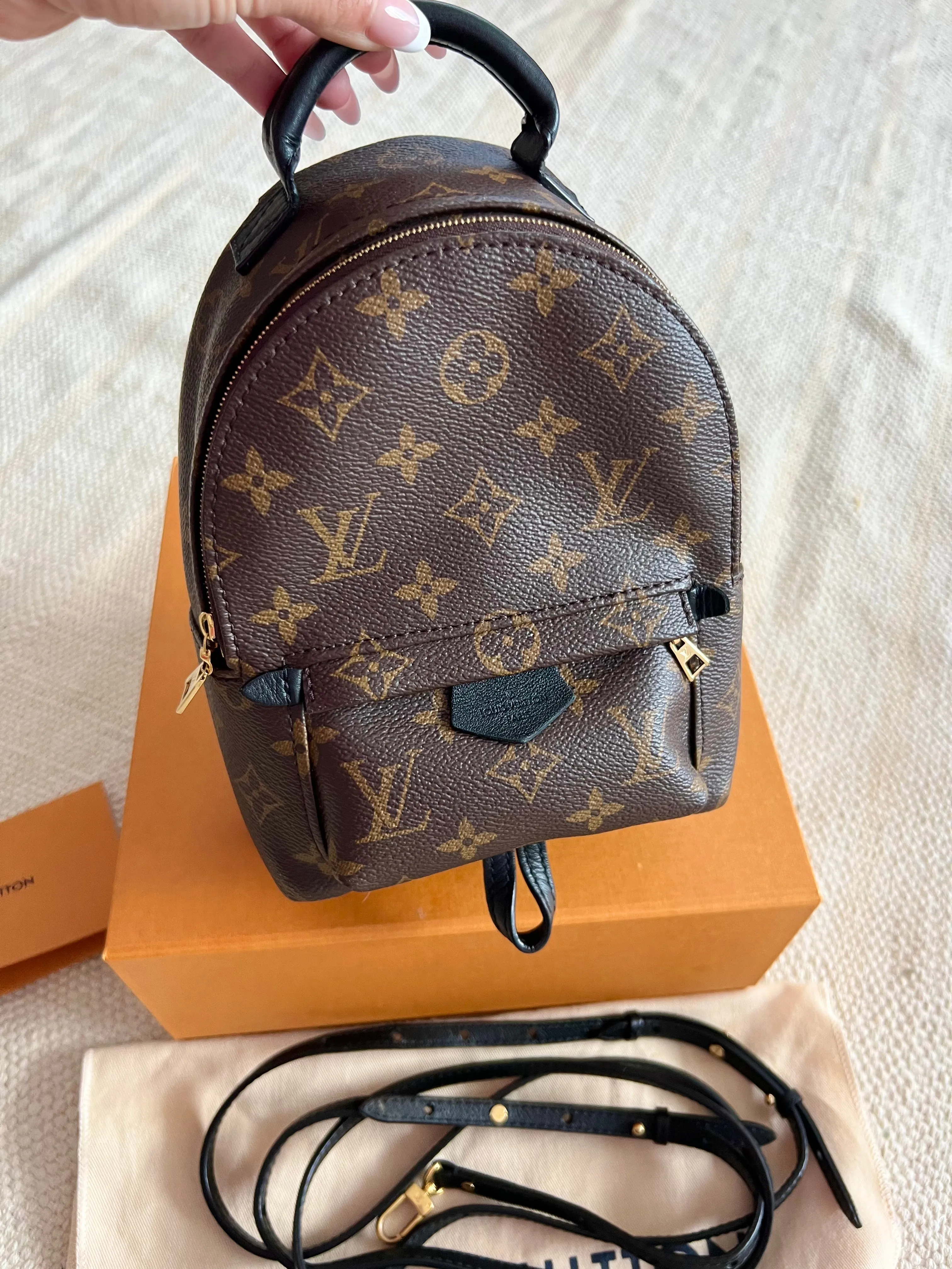 Louis Vuitton Palm Springs Mini Backpack