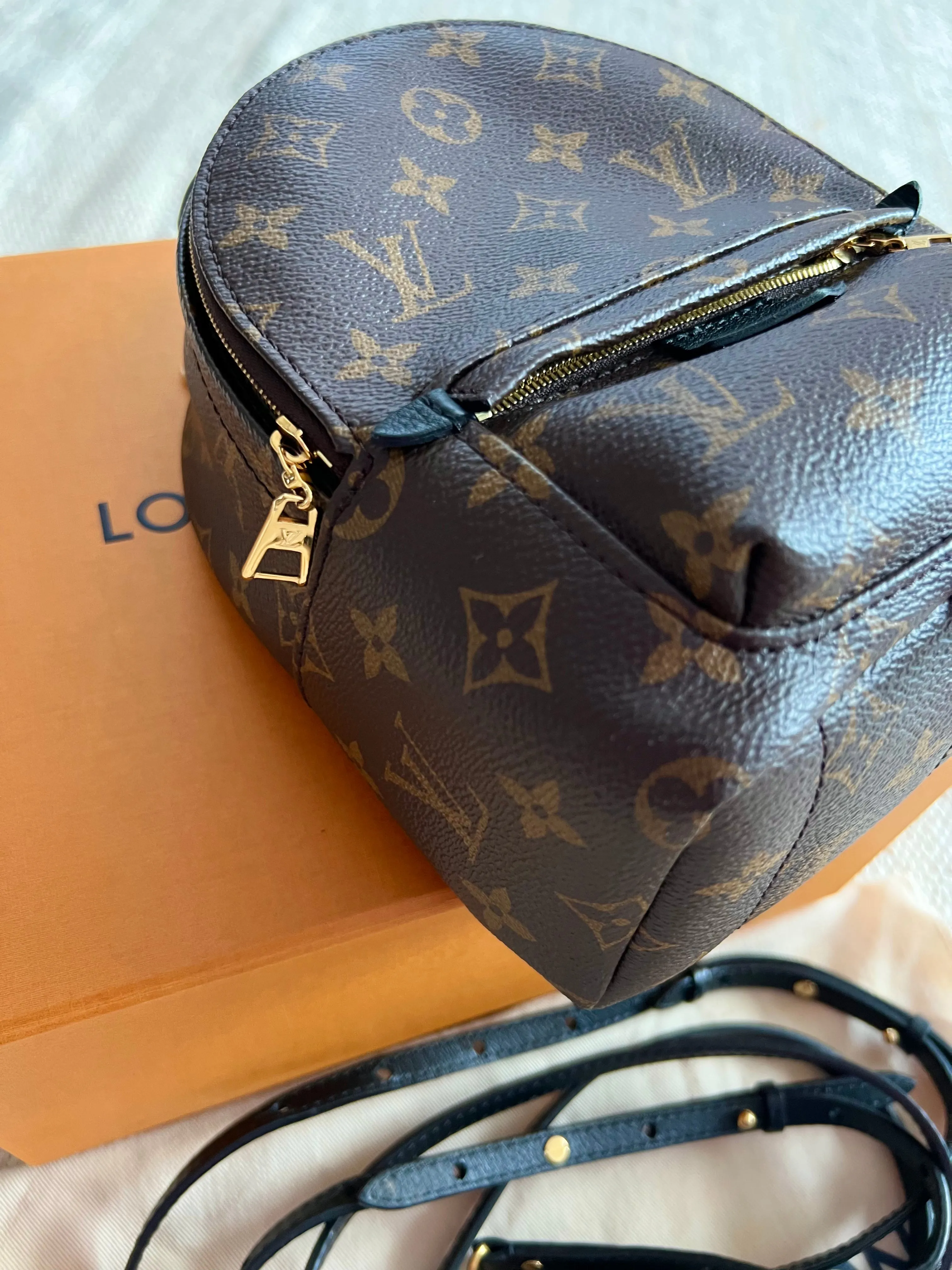 Louis Vuitton Palm Springs Mini Backpack