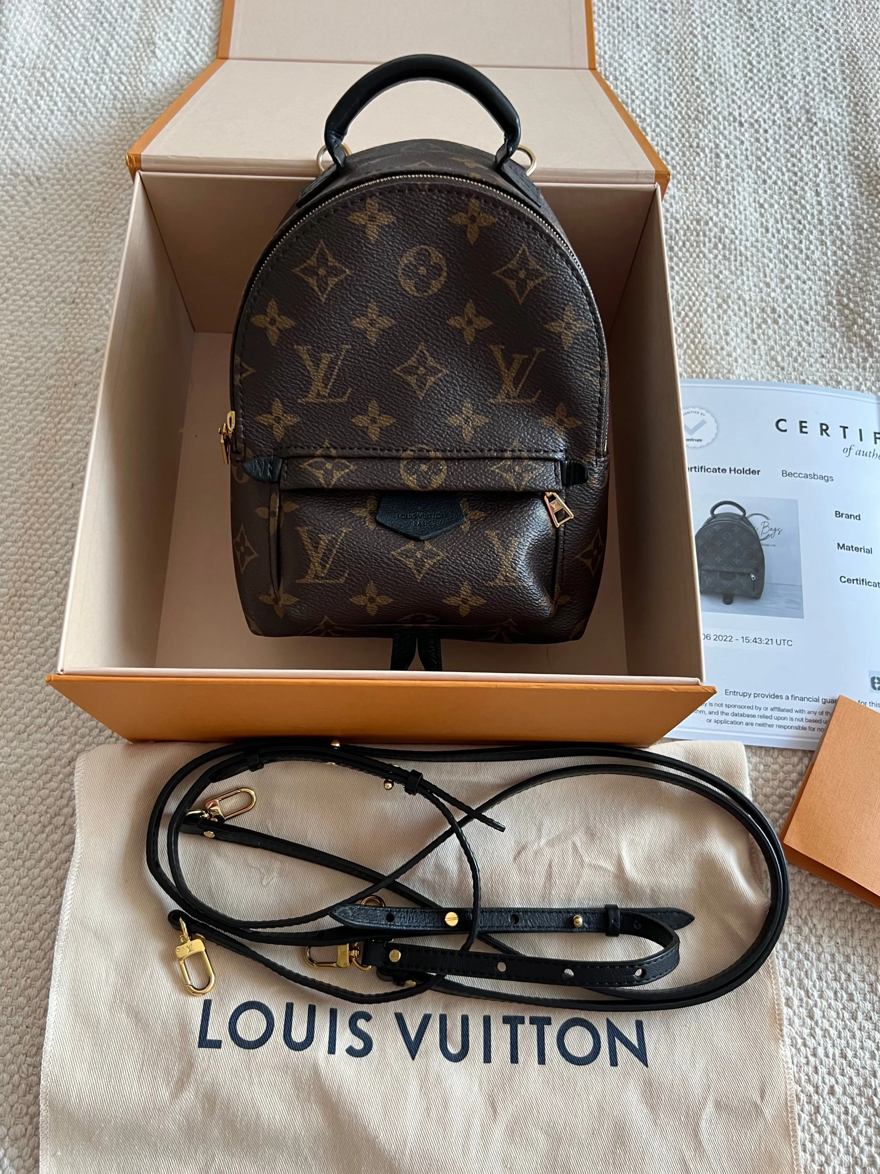 Louis Vuitton Palm Springs Mini Backpack