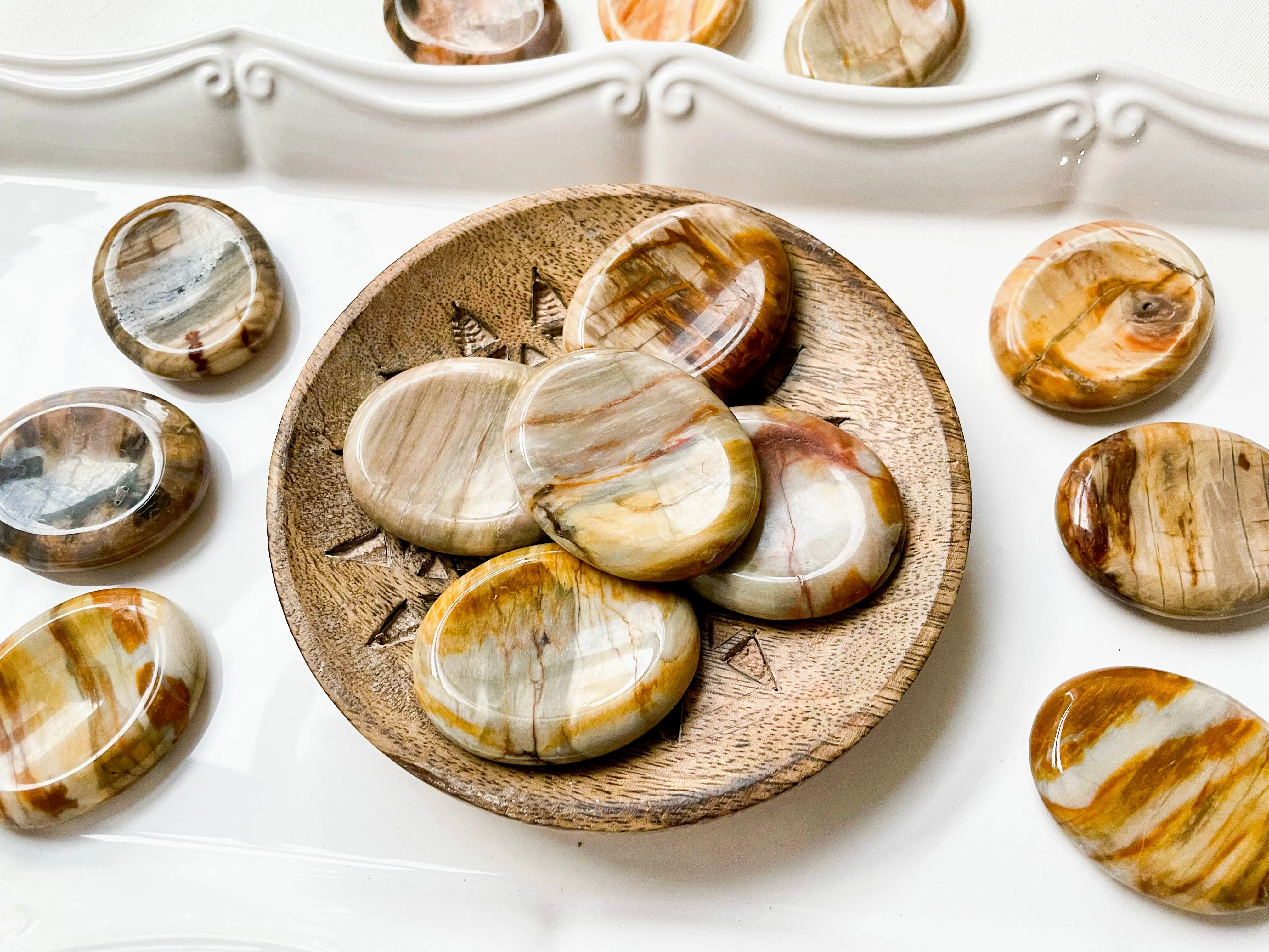 Petrified Wood Worry Stone