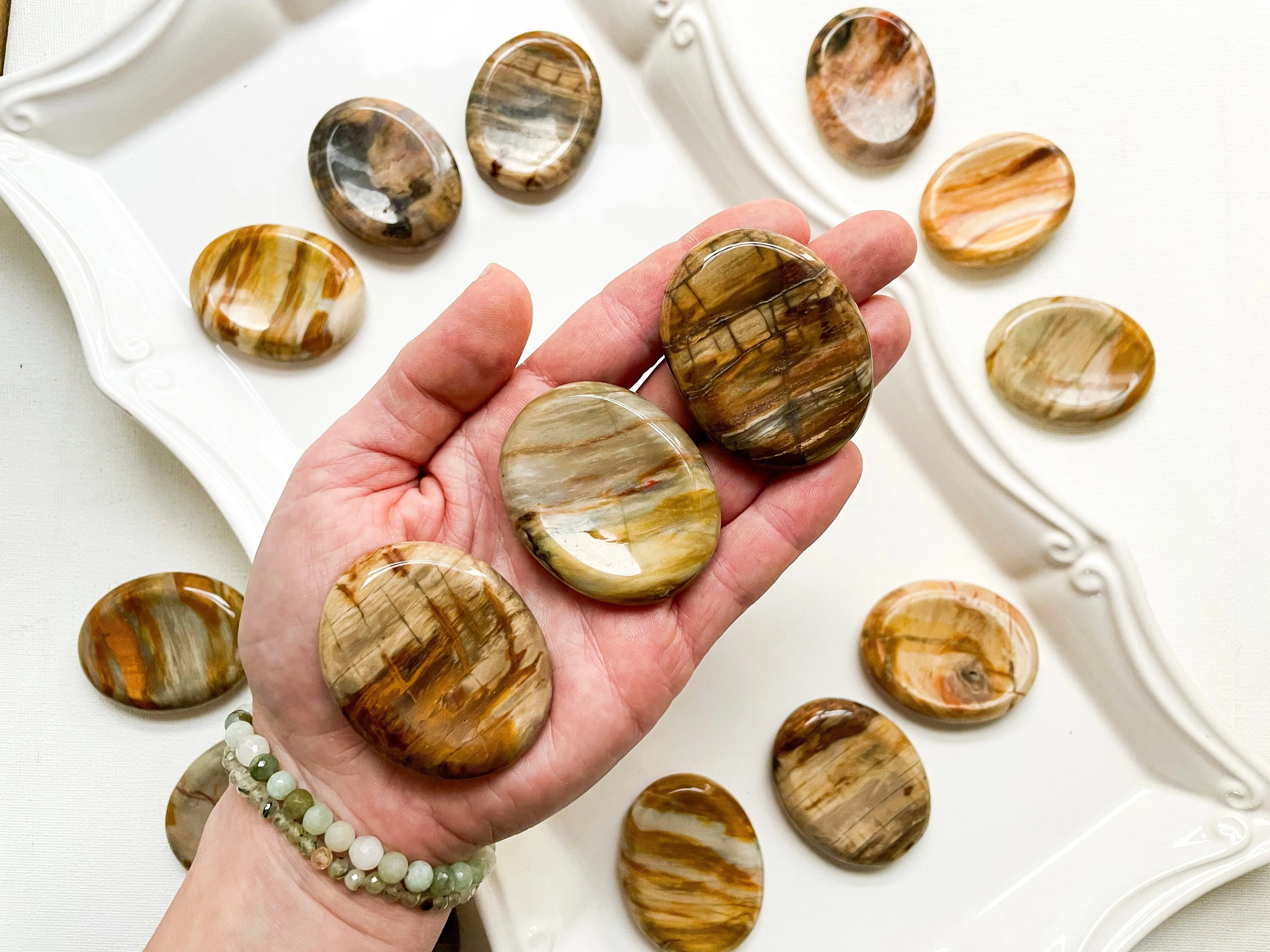 Petrified Wood Worry Stone