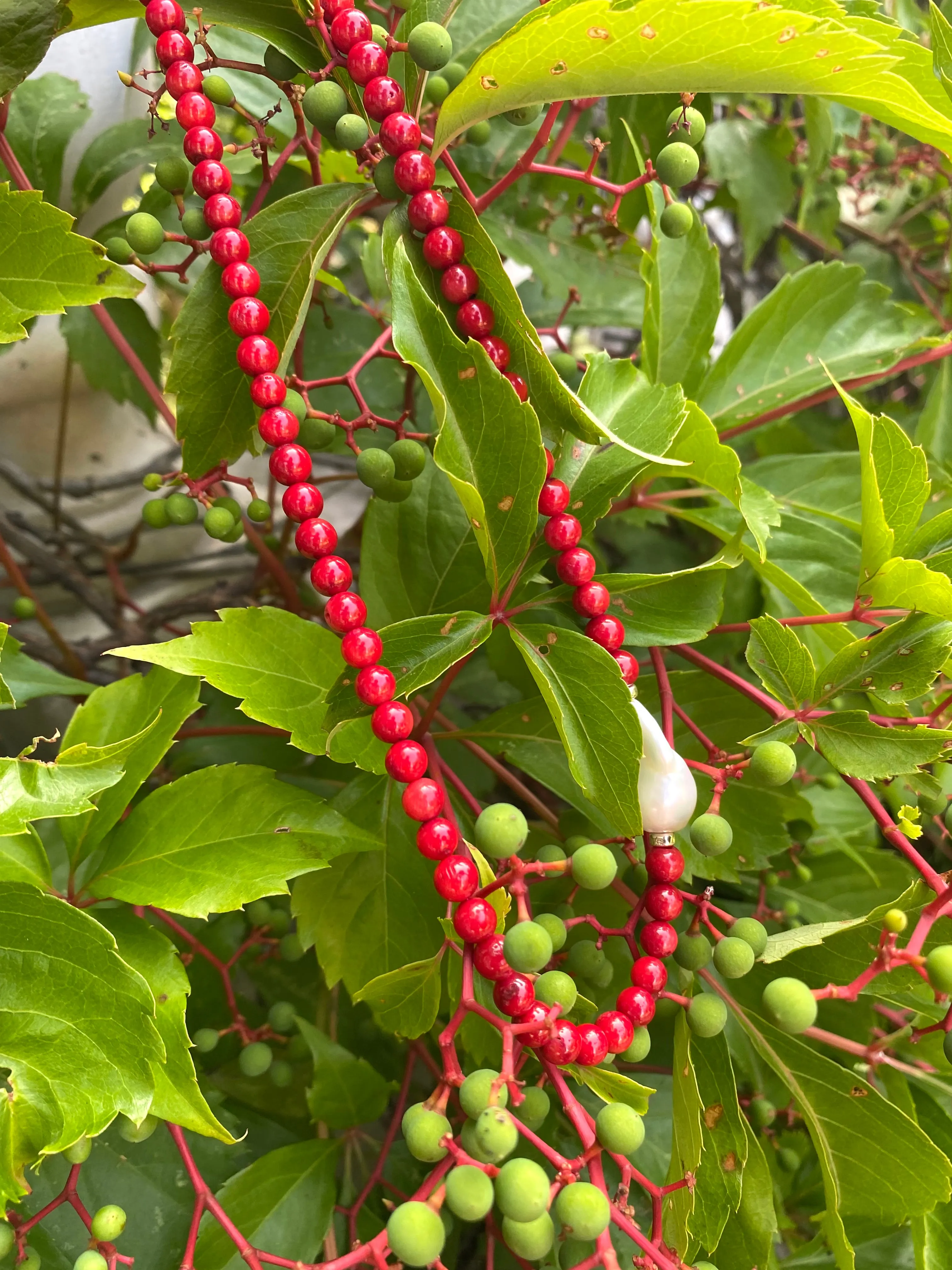 Red Coral Short Necklace with Natural Baroque Pearl and Sterling Silver Details, 18inches