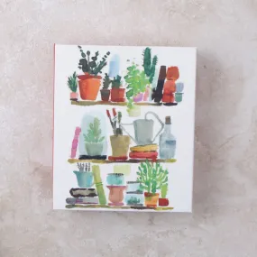 Shelf Life Water Color Card Set